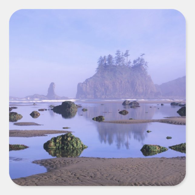 WA, Olympic National Park, Second Beach, Square Sticker (Front)