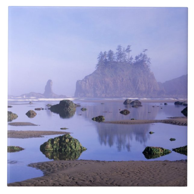 WA, Olympic National Park, Second Beach, Tile (Front)