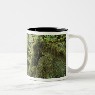 WA, Olympic NP, Hoh Rain Forest, Hall of Two-Tone Coffee Mug
