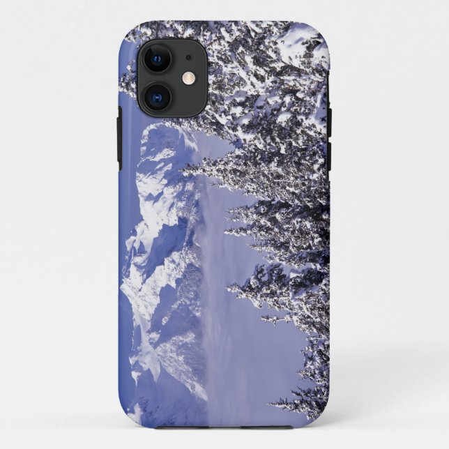 WA, Olympic NP, Olympic Mountain Range, view Case-Mate iPhone Case (Back)