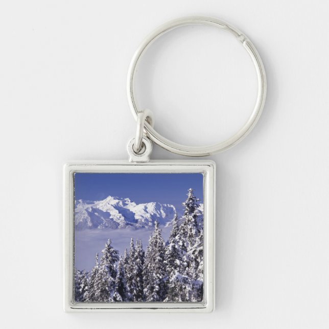 WA, Olympic NP, Olympic Mountain Range, view Keychain (Front)