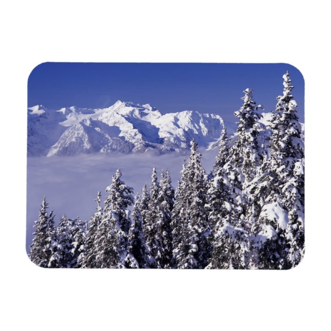 WA, Olympic NP, Olympic Mountain Range, view Magnet (Horizontal)