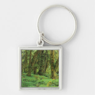 WA, Olympic NP, Quinault Rain Forest, moss Keychain