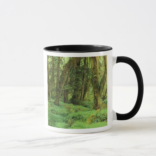 WA, Olympic NP, Quinault Rain Forest, moss Mug (Right)