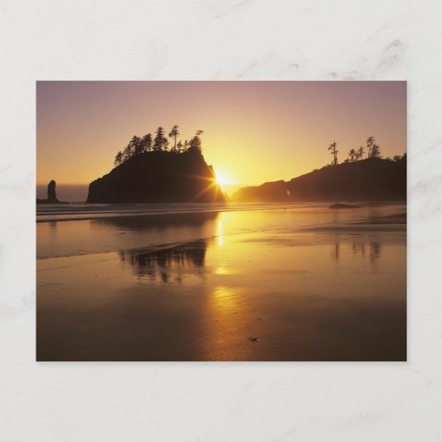 WA, Olympic NP, Second Beach at sunset Postcard (Front)