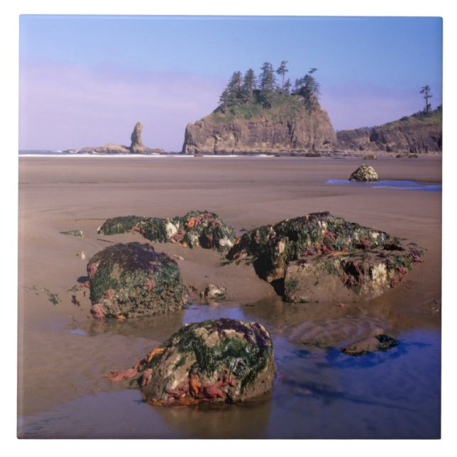 WA, Olympic NP, Second Beach with tidepools and Tile (Front)