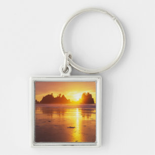 WA, Olympic NP, Shi Shi beach at sunset, Point Keychain