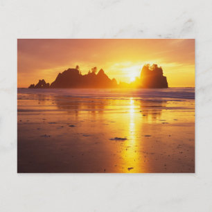 WA, Olympic NP, Shi Shi beach at sunset, Point Postcard