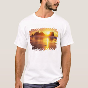 WA, Olympic NP, Shi Shi beach at sunset, Point T-Shirt