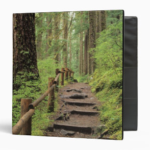 WA, Olympic NP, Sol Duc Valley, rainforest Binder