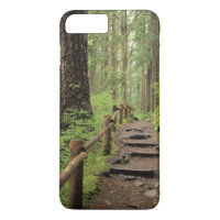 WA, Olympic NP, Sol Duc Valley, rainforest