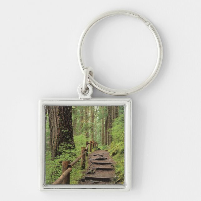 WA, Olympic NP, Sol Duc Valley, rainforest Keychain (Front)