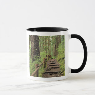 WA, Olympic NP, Sol Duc Valley, rainforest Mug