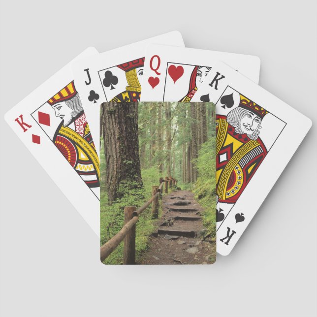 WA, Olympic NP, Sol Duc Valley, rainforest Playing Cards (Back)