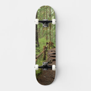 WA, Olympic NP, Sol Duc Valley, rainforest Skateboard