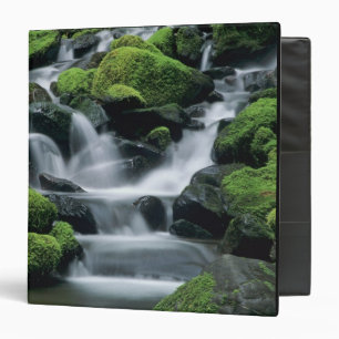 WA, Olympic NP, Sol Duc Valley, stream with Binder