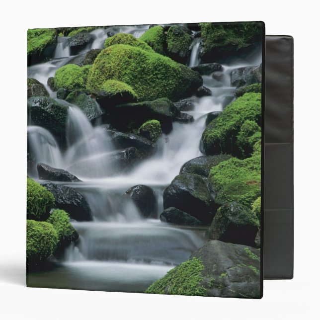 WA, Olympic NP, Sol Duc Valley, stream with Binder (Front/Inside)