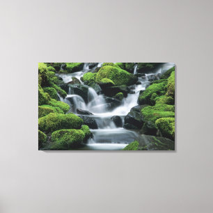 WA, Olympic NP, Sol Duc Valley, stream with Canvas Print
