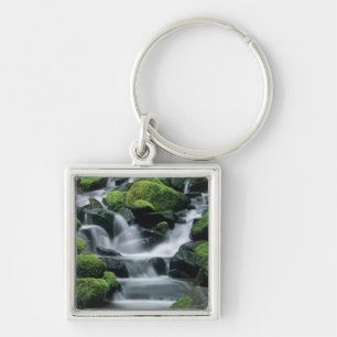 WA, Olympic NP, Sol Duc Valley, stream with Keychain
