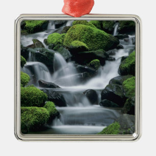 WA, Olympic NP, Sol Duc Valley, stream with Metal Ornament