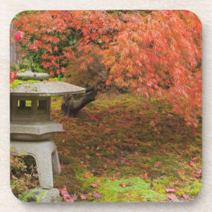 WA, Seattle, Washington Park Arboretum, Japanese 2 Coaster
