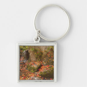 WA, Seattle, Washington Park Arboretum, Japanese Keychain
