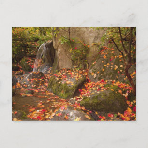 WA, Seattle, Washington Park Arboretum, Japanese Postcard