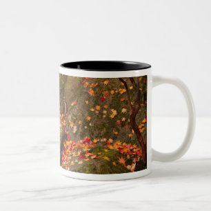 WA, Seattle, Washington Park Arboretum, Japanese Two-Tone Coffee Mug