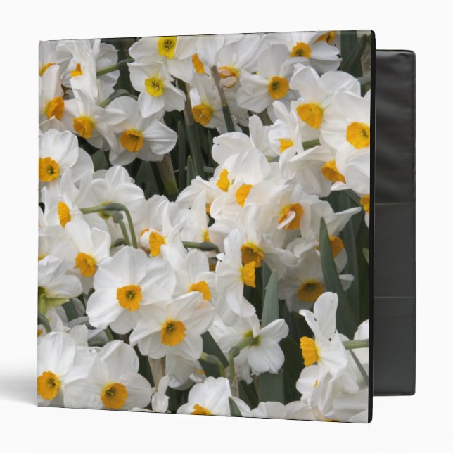 WA, Skagit Valley, Daffodil pattern Binder (Front/Inside)