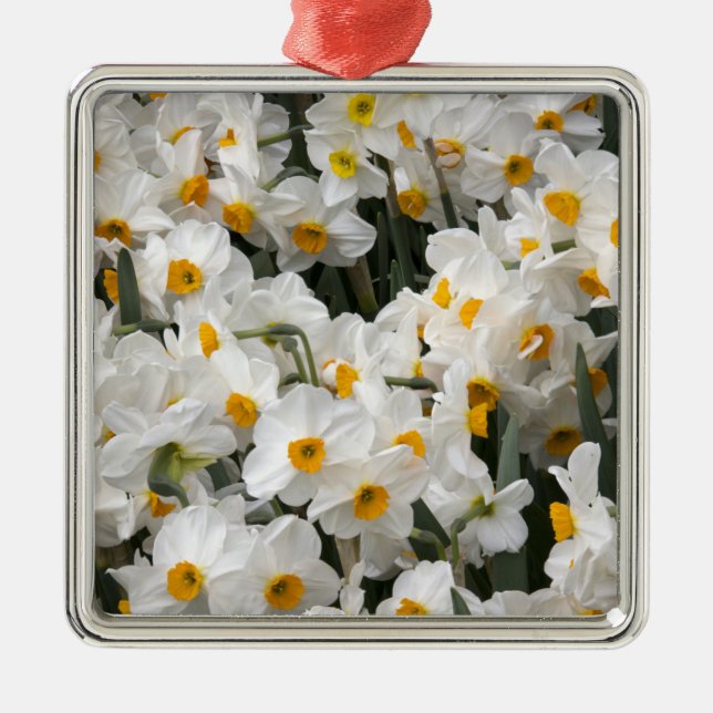WA, Skagit Valley, Daffodil pattern Metal Ornament (Front)