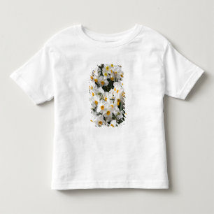 WA, Skagit Valley, Daffodil pattern Toddler T-shirt