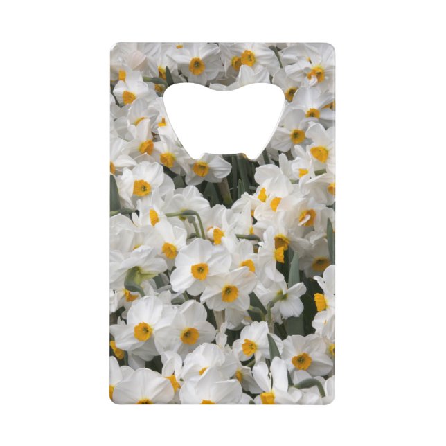 WA, Skagit Valley, Daffodil pattern Wallet Bottle Opener (Front)