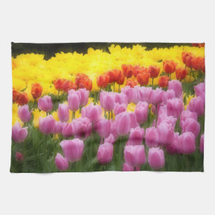 WA, Skagit Valley, Roozengaarde Tulip Garden, 2 Kitchen Towel