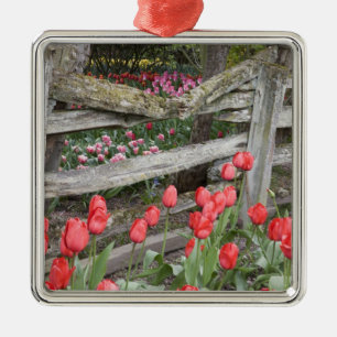 WA, Skagit Valley, Roozengaarde Tulip Garden, Metal Ornament