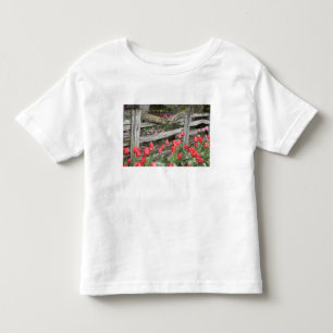 WA, Skagit Valley, Roozengaarde Tulip Garden, Toddler T-shirt