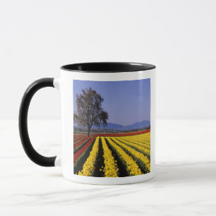 WA, Skagit Valley, Skagit Valley Tulip 2 Mug