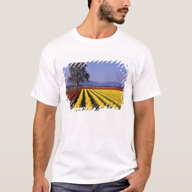 WA, Skagit Valley, Skagit Valley Tulip 2 T-Shirt (Front)