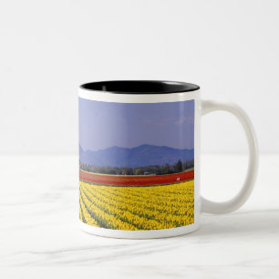 WA, Skagit Valley, Skagit Valley Tulip 2 Two-Tone Coffee Mug