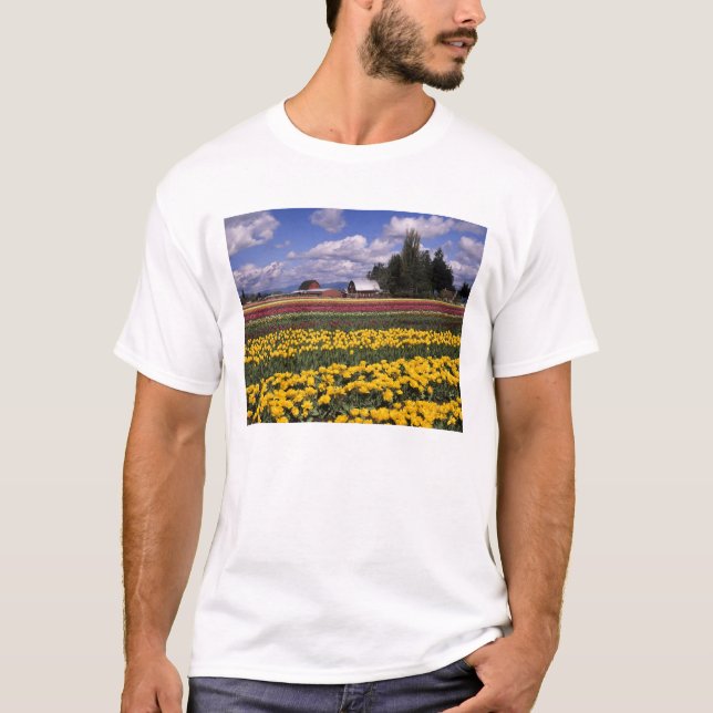 WA, Skagit Valley, Skagit Valley Tulip T-Shirt (Front)