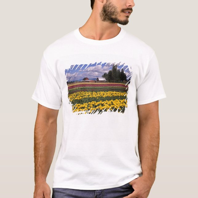 WA, Skagit Valley, Skagit Valley Tulip T-Shirt (Front)