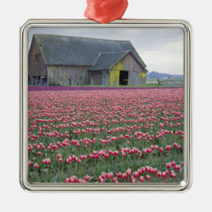 WA, Skagit Valley, Tulip Field and Barn Metal Ornament