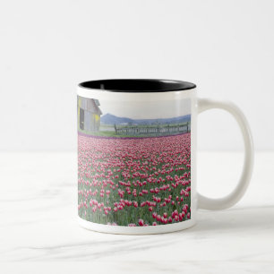 WA, Skagit Valley, Tulip Field and Barn Two-Tone Coffee Mug