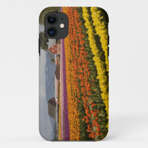 WA, Skagit Valley, Tulip fields in bloom, at iPhone 11 Case