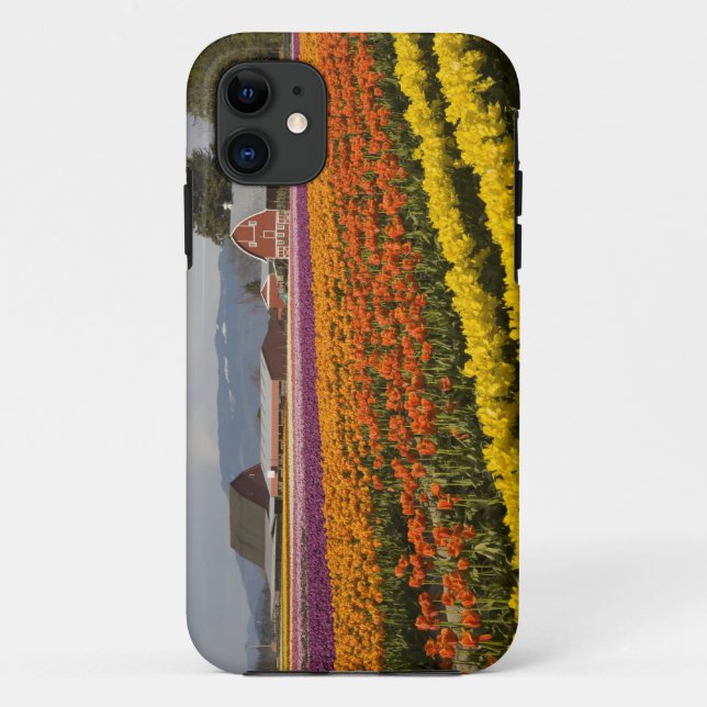 WA, Skagit Valley, Tulip fields in bloom, at Case-Mate iPhone Case (Back)