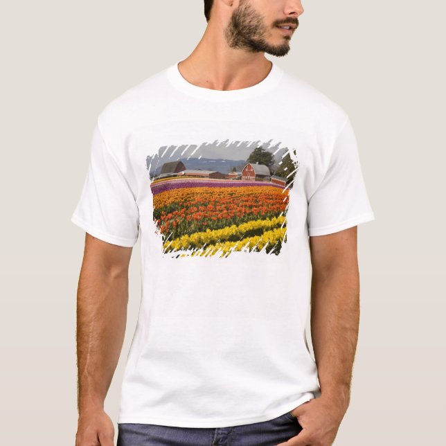 WA, Skagit Valley, Tulip fields in bloom, at T-Shirt (Front)