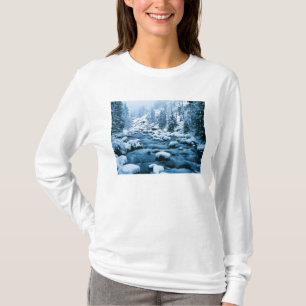 WA, Wenatchee National Forest, Cascade T-Shirt