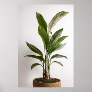 Wabi-Sabi Art Poster