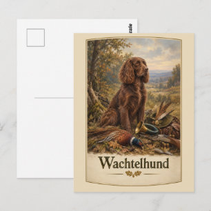 Wachtelhund Hunting Art , German Spaniel Postcard