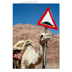wadi rum camel sign
