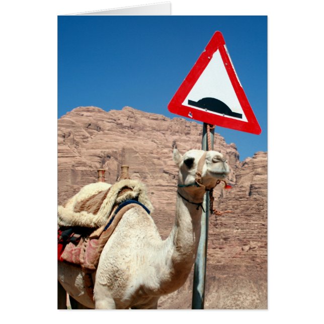 wadi rum camel sign (Front)